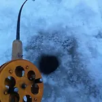 Dom wakacyjny Tuomarniemi